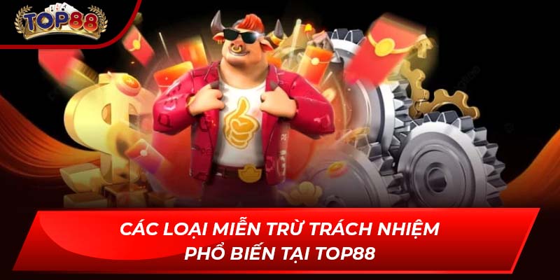 Các loại miễn trừ trách nhiệm phổ biến tại TOP88