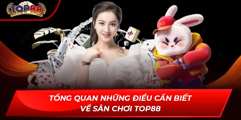 Tổng quan những điều cần biết về sân chơi TOP88