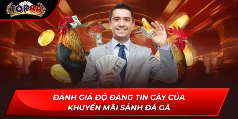 Đánh giá độ đáng tin cậy của khuyến mãi sảnh đá gà
