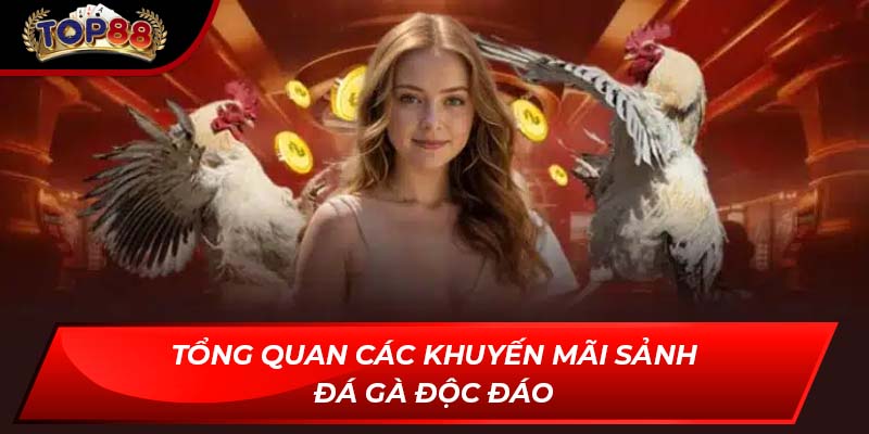 Tổng quan các khuyến mãi sảnh đá gà độc đáo